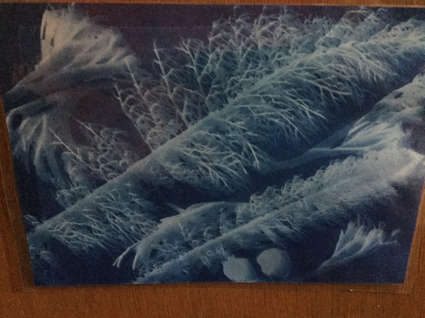 3A1318BC-888D-455A-9E53-47178970ED2E