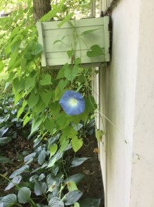 966DAD32-0D32-4CBA-85F5-28571BB646C8